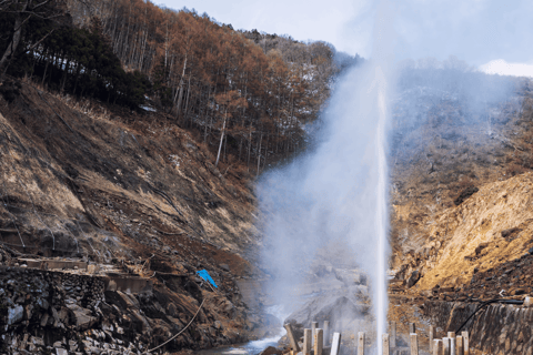 Snow Monkey &amp; Natural Hot Spring Retreat Privat tur!Upphämtning och avlämning runt Nagano