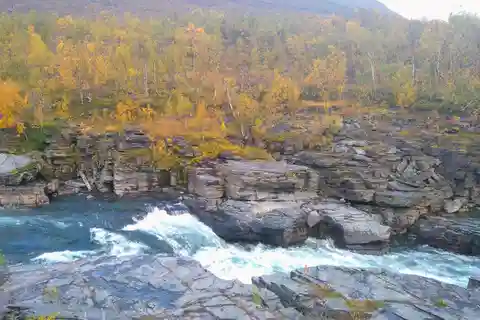 Kiruna: Abisko National Park Guided Day Tour with Lunch