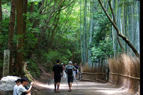 Kyoto: Arashiyama Bamboo, Monkeys, Matcha &amp; UNESCO TempleKyoto: Arashiyama Bamboo, apor, matcha och UNESCO-tempel