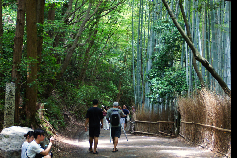 Kyoto: Arashiyama Bamboo, Monkeys, Matcha &amp; UNESCO TempleKyoto: Arashiyama Bamboo, apor, matcha och UNESCO-tempel