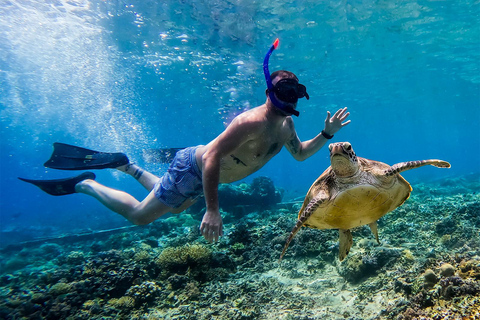 Ilhas Gili Lombok: Passeio de 4 horas de snorkeling em grupo privado