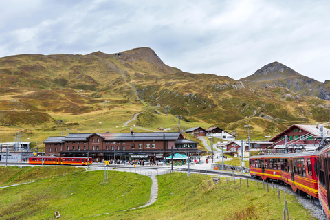 Kleingruppenreise Grindelwald-Scheidegg-LauterbrunnenGrindelwald-Scheidegg-Wengen-Lauterbrunnen Tagestour