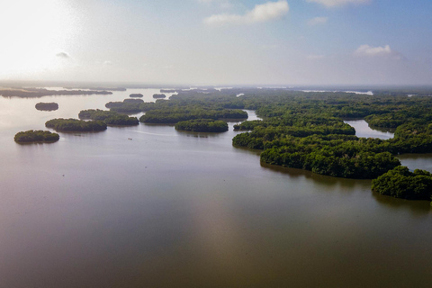 Conheça a vila dos palafitos na Ciénaga Grande de Santa MartaConhece a aldeia de Palafitos na Ciénaga Grande de Santa Marta.
