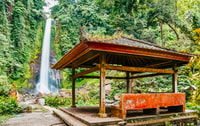 North Bali, Sunrise Tour con delfines, cascadas y templos - Housity