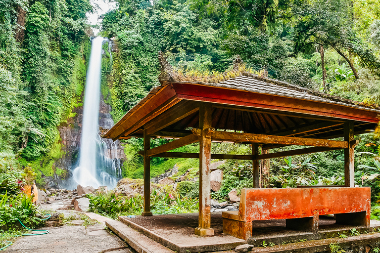 Norte de Bali: amanecer con delfines, cascadas y templosOpción privada prémium