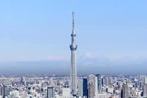東京東京1日プライベートツアー