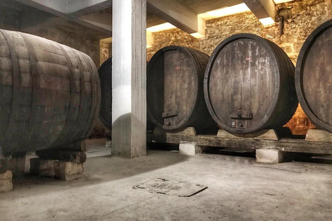 Skopje: Tikveš Wine Tour, 2 Wineries, Stobi Ruins & Lunch