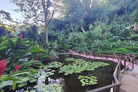 San Salvador: Boquerón National Park & Botanical Garden Tour