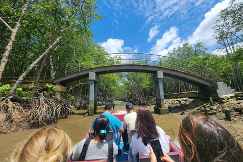 CAN GIO MANGROVESKOG - MONKEY ISLAND DAGSUTFLYKT I GRUPP