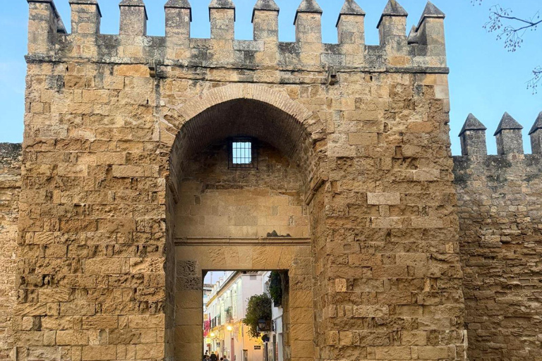 Córdoba Courtyards, Jewish Quarter and Synagogue Sightseeing Tour Cordoba's Courtyards, Jewish Quarter and Synagogue Sightseeing Tour