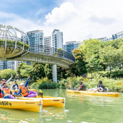 Singapore: Punggol Waterway Kayak Tour with Guide
