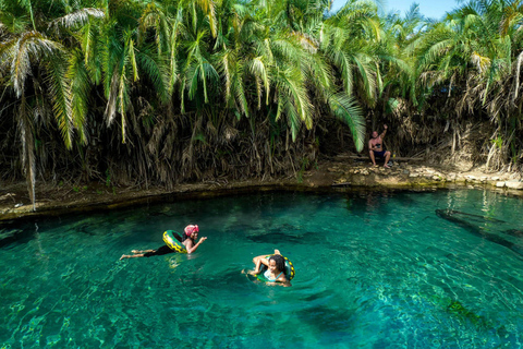 Excursión de un día a las termas de Chemka