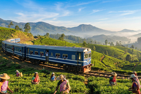 NanuOya: Second-Class Scenic Train Seat Reservation to Ella