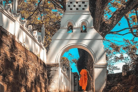 Ella To Nuwara Eliya Transfer with Temples, Gardens & Lake