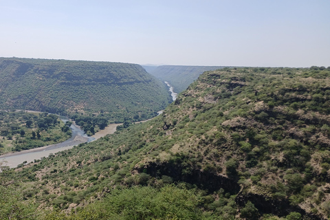 "Doświadczenie safari w Parku Narodowym Awash"
