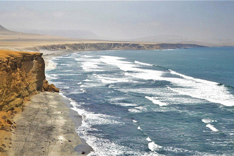 Paracas: National Reserve, Beaches and Viewpoints – Afternoon Tour 3:00 p.m. Paracas: Guided Tour to the White Islands