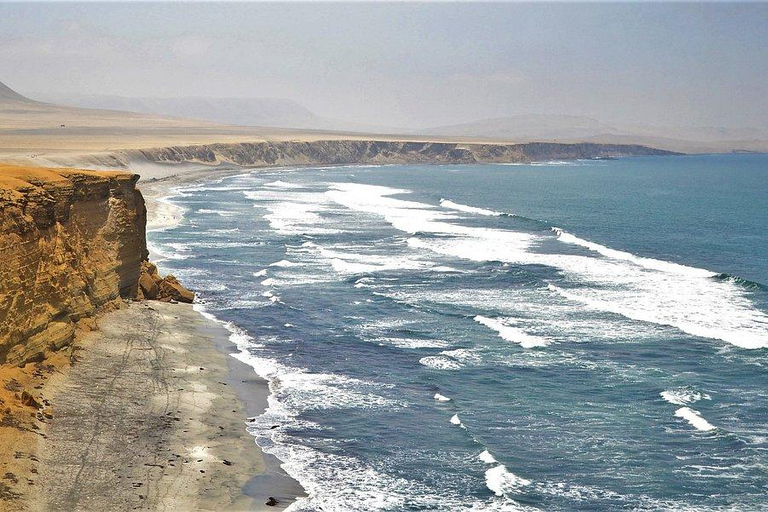 Paracas: National Reserve, Beaches and Viewpoints – Afternoon Tour 3:00 p.m. Paracas: Guided Tour to the White Islands