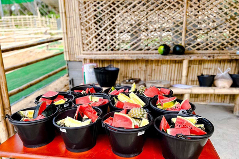 Phuket: Feeding Elephants at Phuket Elephant Care Meet at Naithon Sanctuary