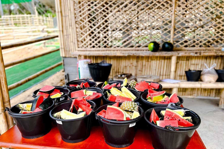 Phuket: Feeding Elephants at Phuket Elephant Care Meet at Naithon Sanctuary