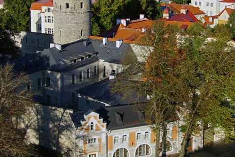 Tallinn: Private Old Town Walking Tour with Local Guide