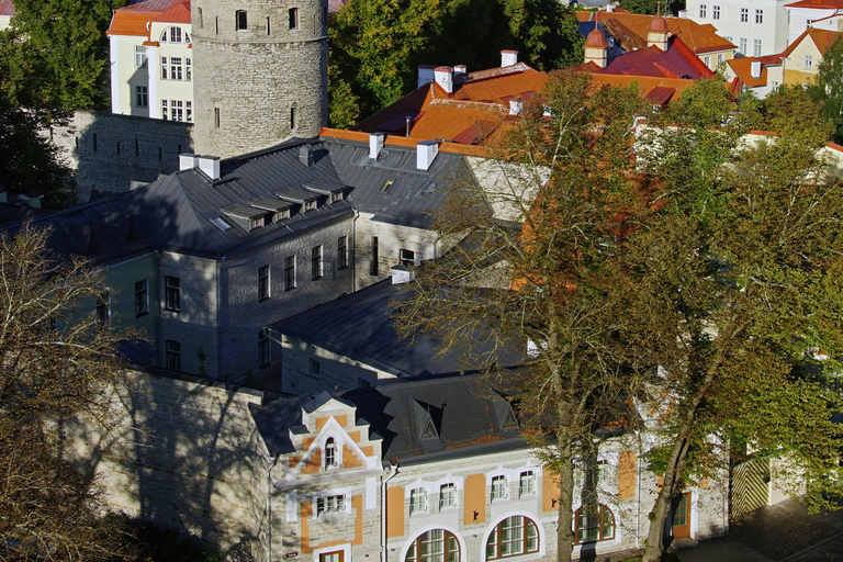 Tallinn: Private Old Town Walking Tour with Local Guide