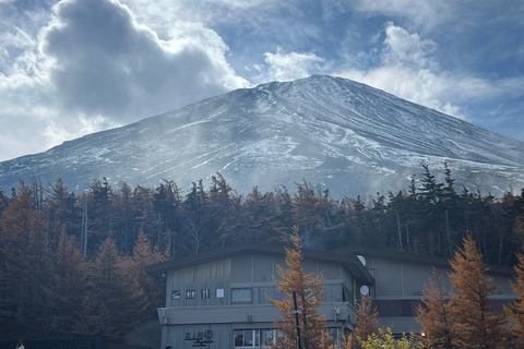 Tóquio: Monte Fuji e Hakone - Viagem de 1 dia com guia particularDe Tóquio: Viagem de 1 dia particular ao Monte Fuji e Hakone