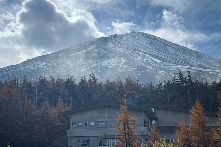 Z Tokio: Prywatna 1-dniowa wycieczka na górę Fuji i do Hakone