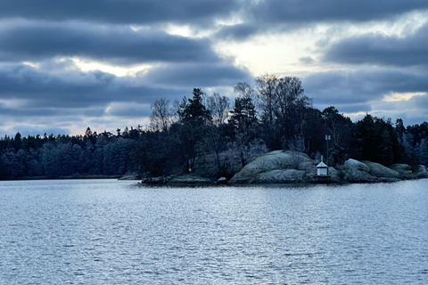 Furuvik seaside sauna: Sauna and Cold Plunge Experience