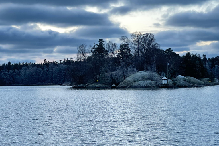 Furuvik seaside sauna: Sauna and Cold Plunge Experience