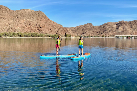 Plage de Willow : Location de paddle board