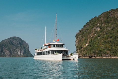 Halong Bay & Lan Ha Bay Day Tour on 5 Star Premium Cruise Pick up from Tuan Chau Harbor