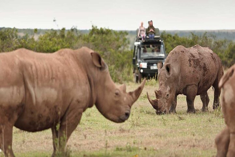 Från Nairobi: 3-dagars safari i Aberdare och Solio Ranch