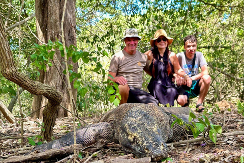 Da Bali: Tour dell&#039;Isola di Komodo di 2 giorni e 1 notte con volo