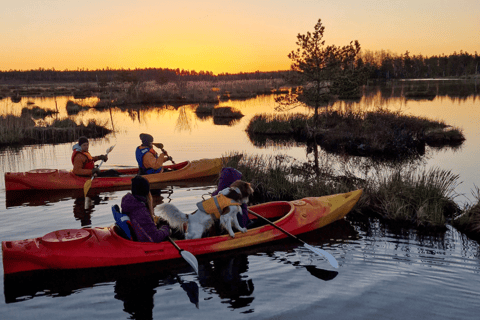 From Riga: Sunrise Kayak or Paddleboard Tour with Pick-Up Double Kayak