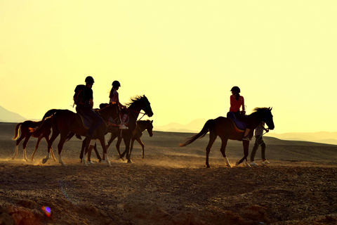 Marsa Alam : Randonnée à cheval dans le désert et la mer