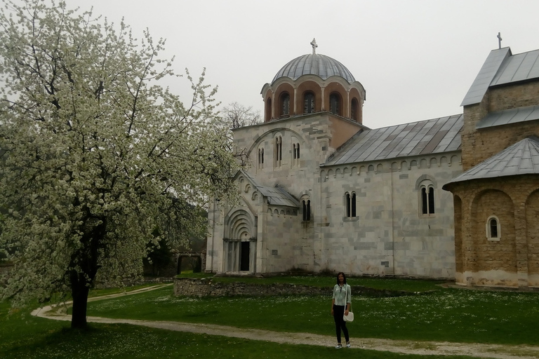 De Belgrado: mosteiro Studenica e mosteiro Zica