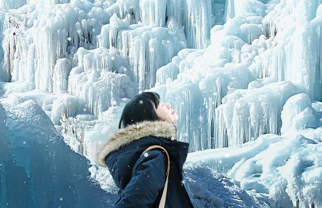 From Seoul : Eobi Valley, Nami Island, Alpaca World