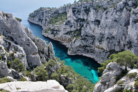 Cassis and Its Stunning Calanques, Marseille, Cap Canaille: Private Tour Marseille, Cassis, and Cap Canaille on a private tour with a local guide