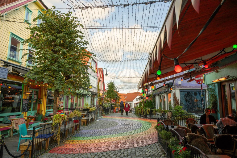 Private Stavanger city Highlights Driving tour