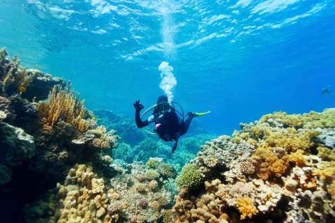 From Baku: Scuba Diving Experience for Beginners