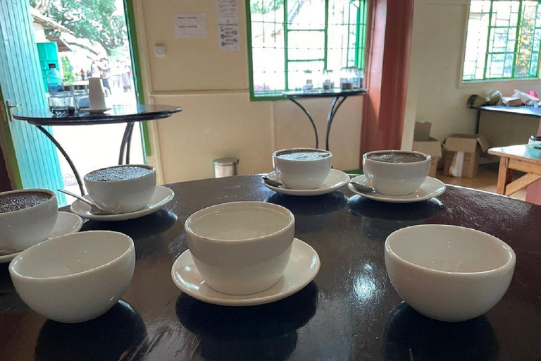 Nairobi: Fairview Coffee Estate Tour with Coffee Tasting