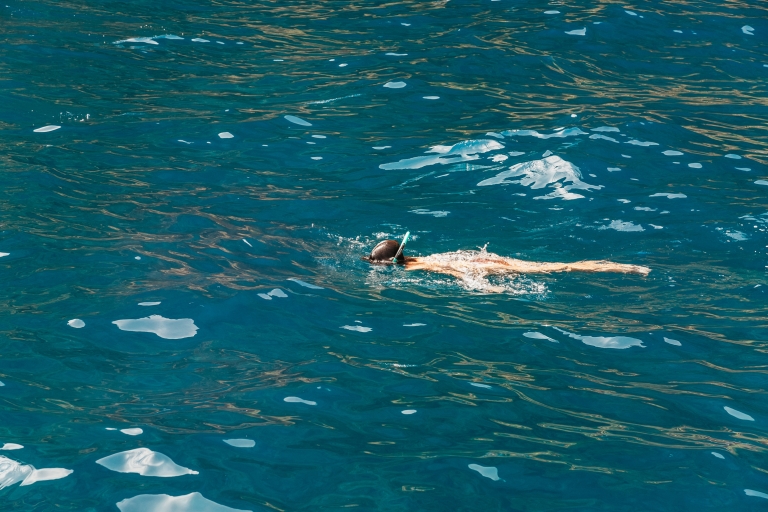 Funchal Bay: Catamarán de lujo con avistamiento de delfines y ballenasBahía de Funchal: avistamiento de delfines y ballenas Lxury Catamaran Cruise