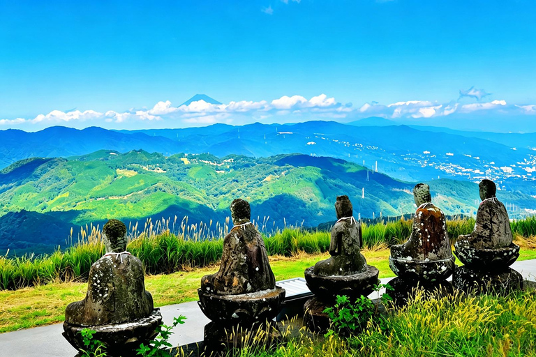 Small Group Day Tour:Omuro Mountain & the Izu Scenic Railway Hotel Transfer Option