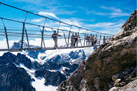 Tour en grupo reducido Monte Titlis e Interlaken en coche desde Lucerna