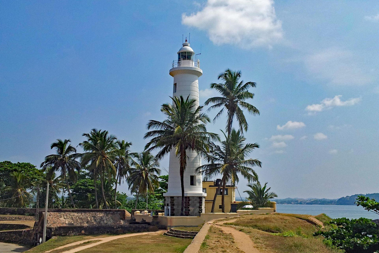 8-Day Sri Lanka Private Tour with Hotels, Train Ride &Safari