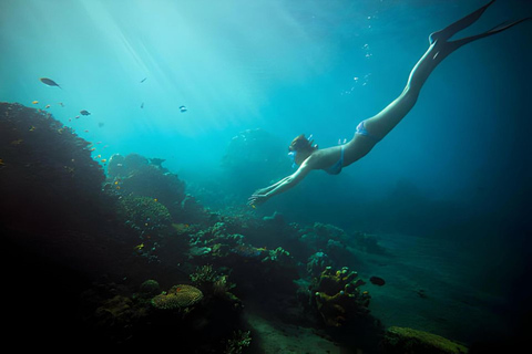 Da Nang : Exploration de la péninsule de Son Tra - plongée en apnée, pêche