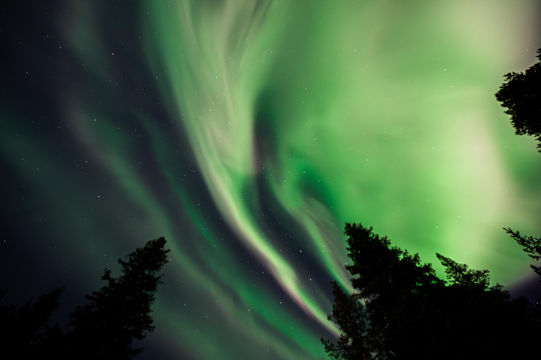 Rovaniemi: Northern Lights Tour – Guaranteed with Photos Small-Group Northern Lights Tour – Guaranteed with Photos