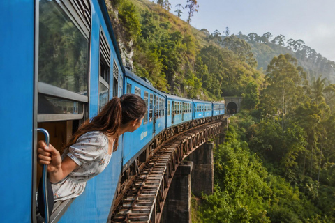Sri Lanka Highlights: Sigiriya, Safari, Train ride & Beaches