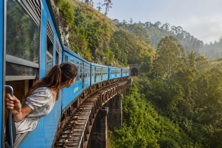 Sri Lanka Highlights: Sigiriya, Safari, Train ride & Beaches