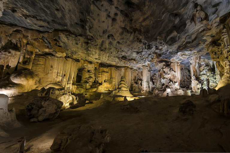 Da Città del Capo: 3 giorni di Garden Route e safari in 4x4Tour di gruppo condiviso con soggiorno in ostello con dormitorio condiviso